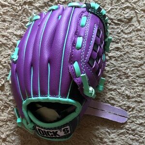 Teal and Purple Baseball Glove